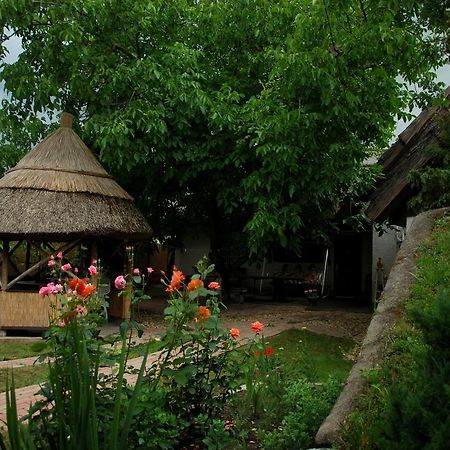 Natura Vendégház Pazmand Extérieur photo